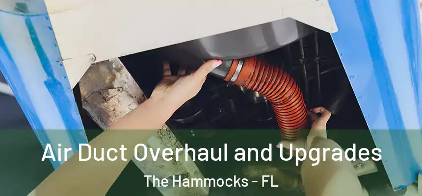 Air Duct Overhaul and Upgrades The Hammocks - FL