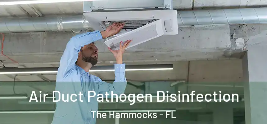 Air Duct Pathogen Disinfection The Hammocks - FL