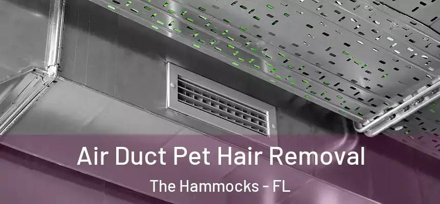 Air Duct Pet Hair Removal The Hammocks - FL