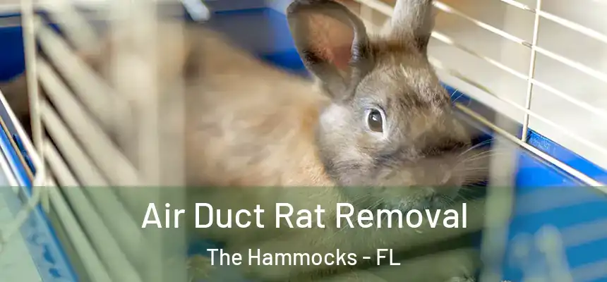 Air Duct Rat Removal The Hammocks - FL