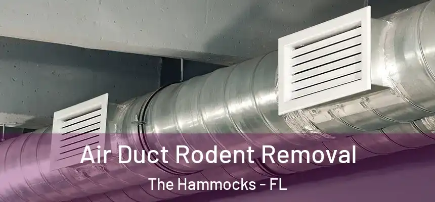 Air Duct Rodent Removal The Hammocks - FL