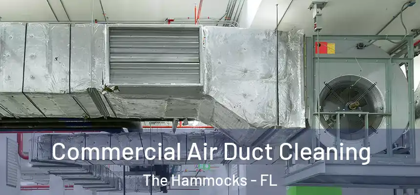 Commercial Air Duct Cleaning The Hammocks - FL