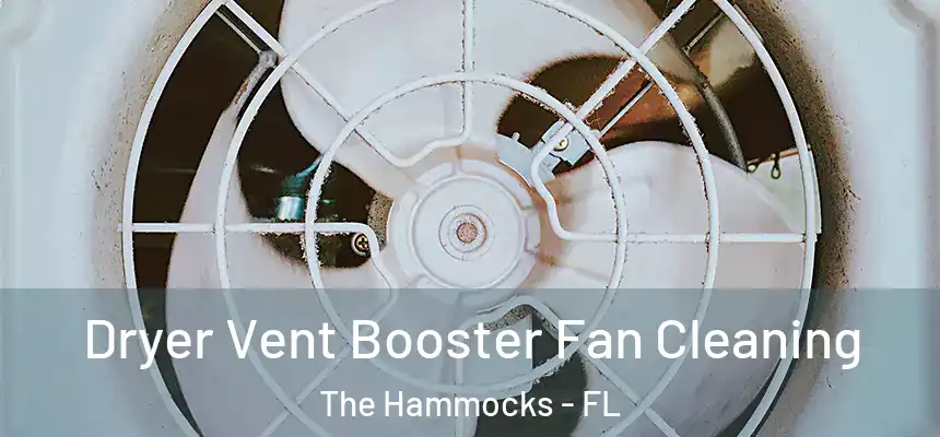 Dryer Vent Booster Fan Cleaning The Hammocks - FL