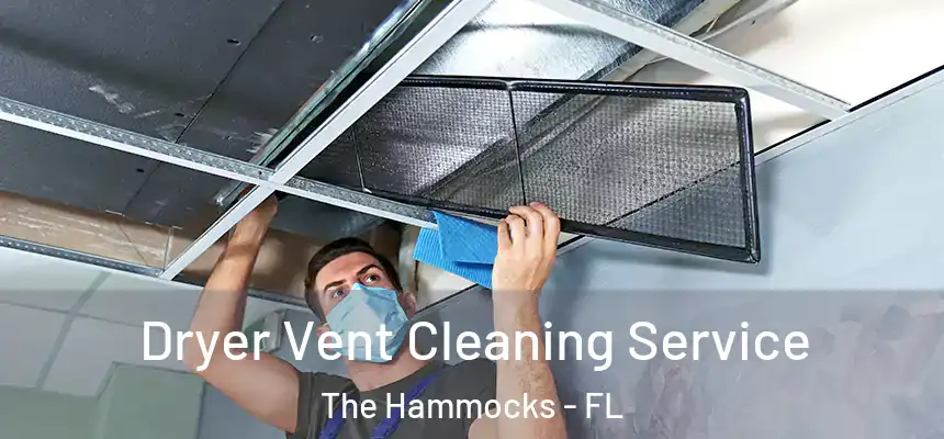 Dryer Vent Cleaning Service The Hammocks - FL