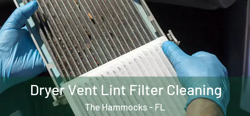 Dryer Vent Lint Filter Cleaning The Hammocks - FL
