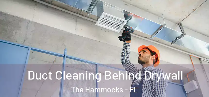 Duct Cleaning Behind Drywall The Hammocks - FL