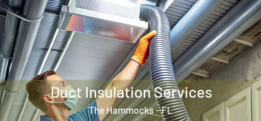 Duct Insulation Services The Hammocks - FL