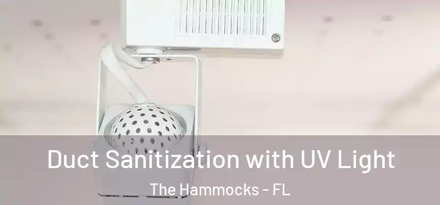 Duct Sanitization with UV Light The Hammocks - FL