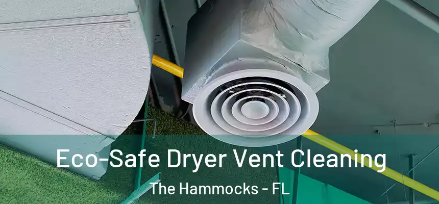 Eco-Safe Dryer Vent Cleaning The Hammocks - FL