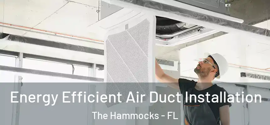 Energy Efficient Air Duct Installation The Hammocks - FL