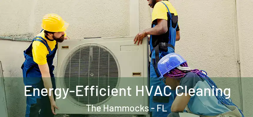 Energy-Efficient HVAC Cleaning The Hammocks - FL