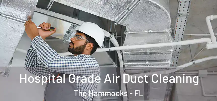 Hospital Grade Air Duct Cleaning The Hammocks - FL