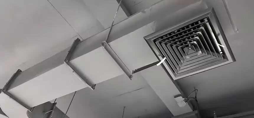Restorative Allergy Relief Vent Cleaning – Coil, Blower & Housing Detail in The Hammocks