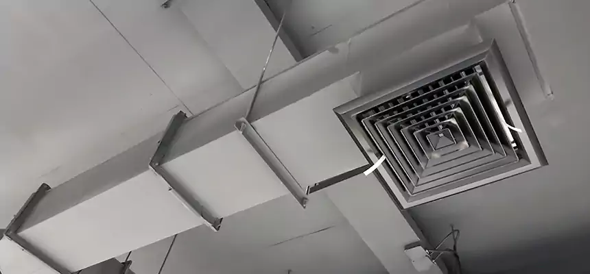 Our Rodent Droppings In Vents Services in The Hammocks, FL