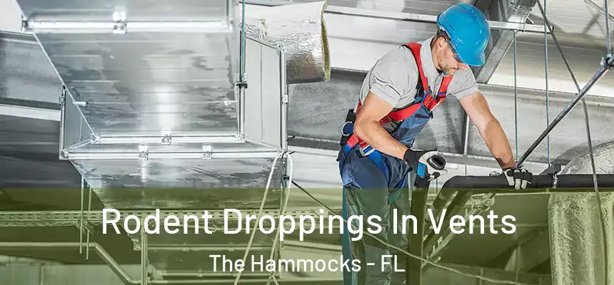 Rodent Droppings In Vents The Hammocks - FL