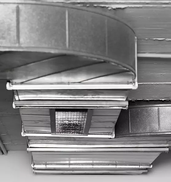 Professional Air Duct Pet Hair Removal in The Hammocks, FL