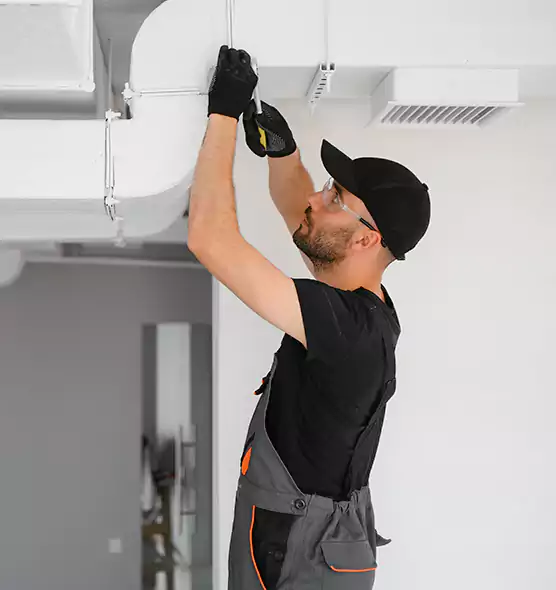 Professional Air Purifier Installation in The Hammocks, FL