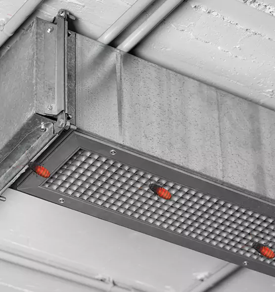 Affordable Insect Removal from Air Ducts in The Hammocks, FL