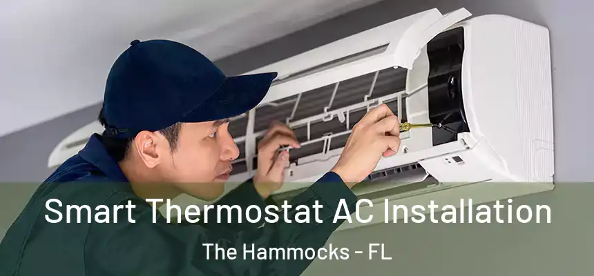 Smart Thermostat AC Installation The Hammocks - FL