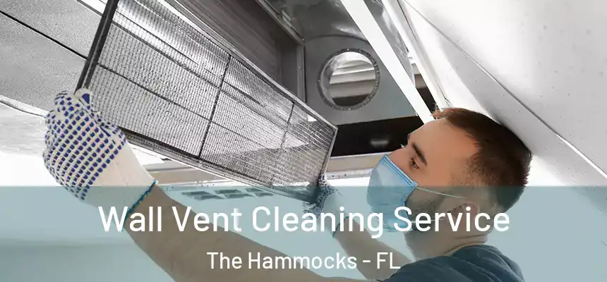 Wall Vent Cleaning Service The Hammocks - FL