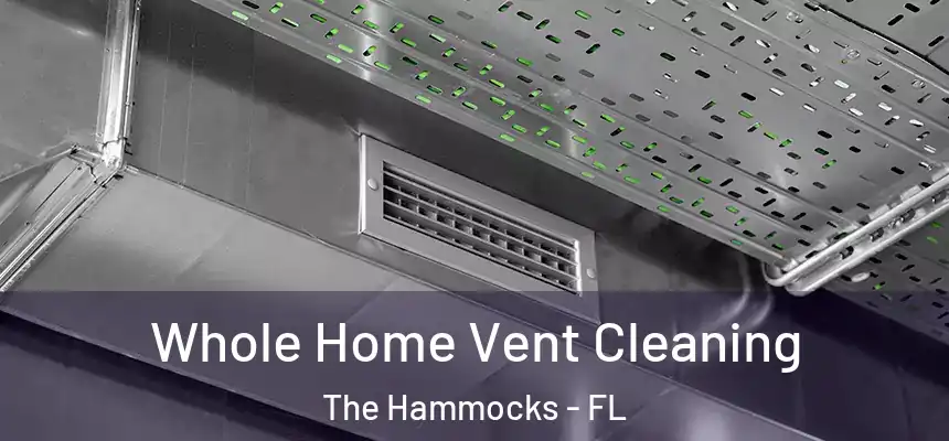  Whole Home Vent Cleaning The Hammocks - FL
